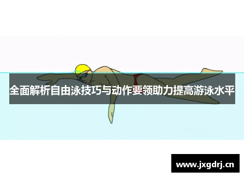 全面解析自由泳技巧与动作要领助力提高游泳水平