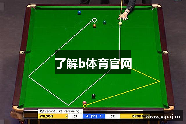了解b体育官网